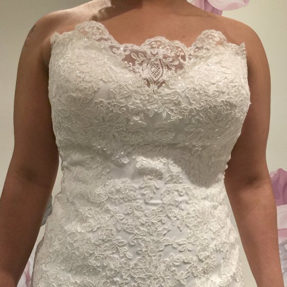 PLUS SIZE ROZ LA KELIN WEDDING GOWN! - Picture 3 of 8